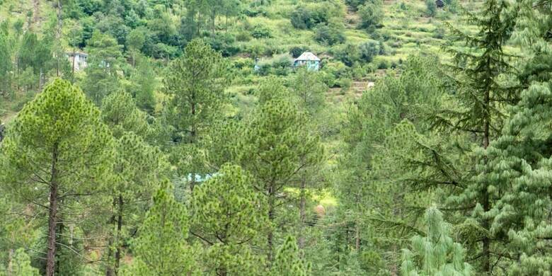 Bed & Breakfast Parvati Kuteer