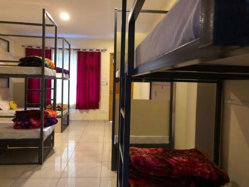 Hostel Cozy Beds