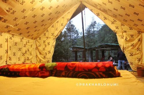 Hostel Cozy Beds