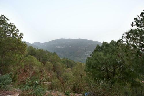 Apartamento Exotic 2bhk Homestay In Kasauli
