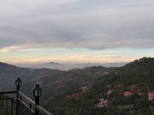 Orchid Kasauli