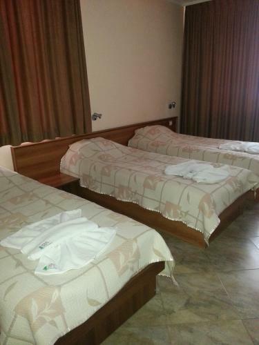 Family Hotel Yola