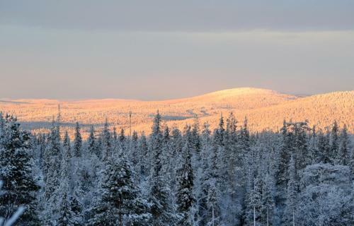 Lodge Talo Yll�s