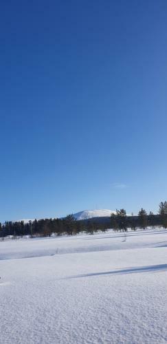 Lodge Talo Yll�s