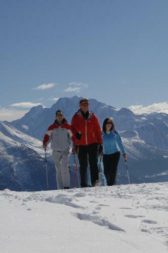 Chalet Favorite