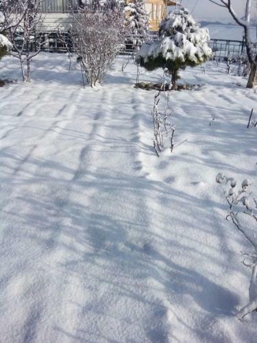 Hotel Snow King Retreat