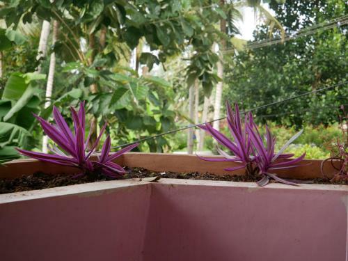 Apartamento Padmini House