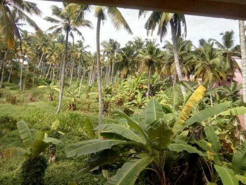 Hotel Patrick Villa