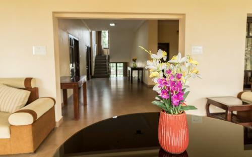 Hotel Bota Royal