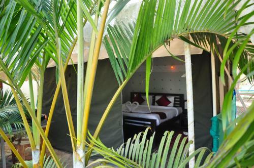 Coorg Adventures Tent Stay And Spa