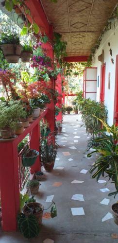 Lodge Atmaja : The Cottage Garden