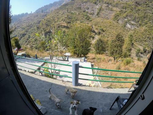 Hotel Ayoya Malana - Shiva Cafe