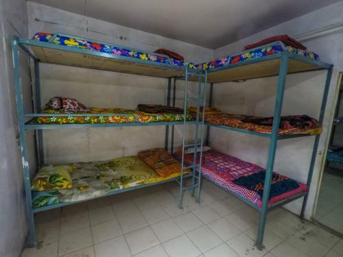 Hotel Ayoya Malana - Shiva Cafe