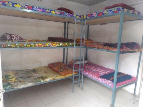 Hotel Ayoya Malana - Shiva Cafe