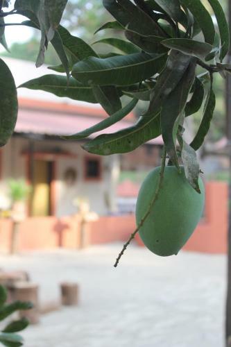 Sai Homestay