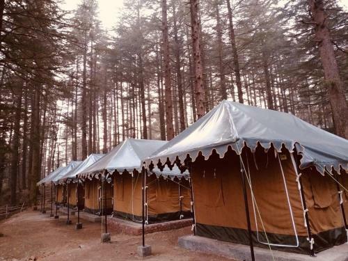 Himtrek Adventure Camps Mcleodganj