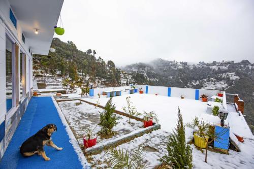 Albergue Zostel Mukteshwar