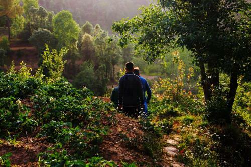 Bed & Breakfast Chirping Orchard, Mukteshwar