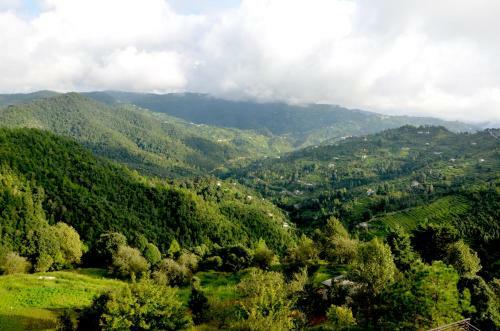 Lord Krishna Himalayan Hotel And Restaurant