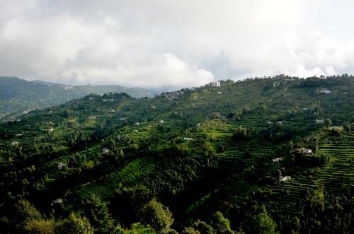 Lord Krishna Himalayan Hotel And Restaurant