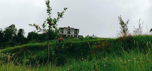 Lord Krishna Himalayan Hotel And Restaurant