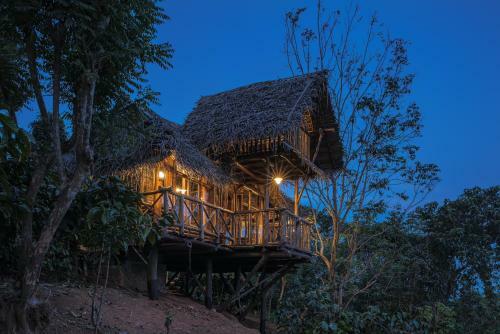 Aranyakam Homestay