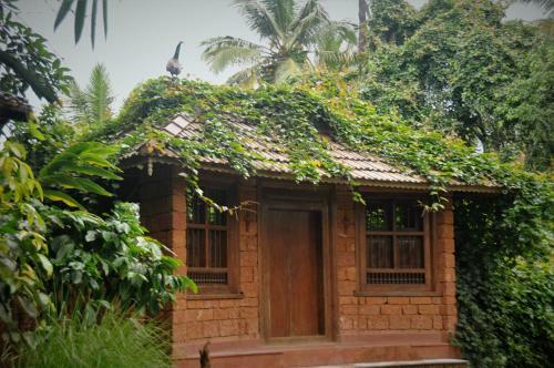 Aranyakam Homestay