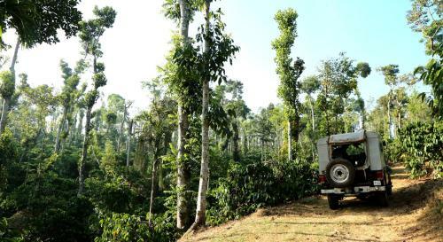Hostal Coffee Native Homestay