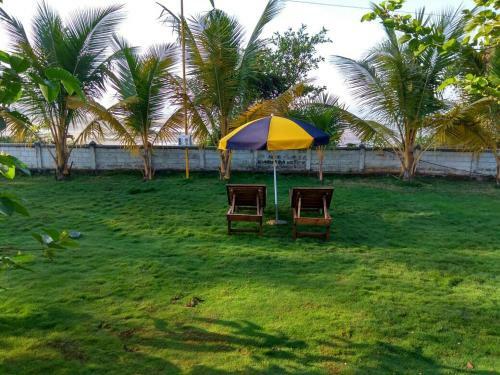 The Divine Homestay
