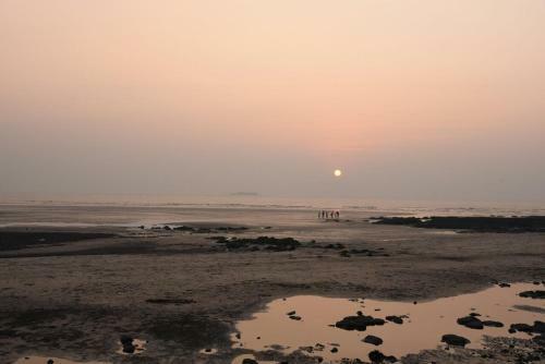 The Divine Homestay
