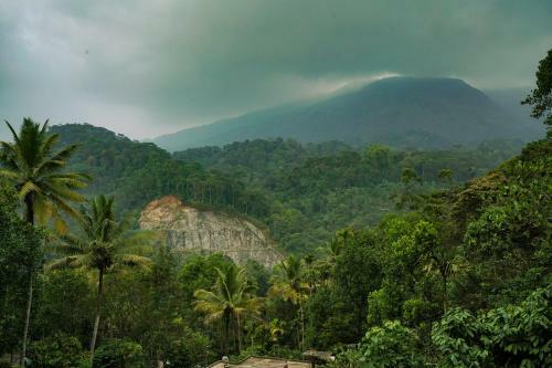 Spice Valley Home Stay Munnar
