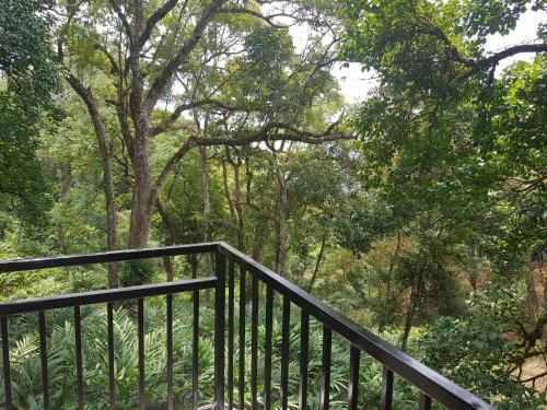 Bed & Breakfast Spice Jungle Holiday Resort