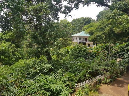 Bed & Breakfast Spice Jungle Holiday Resort