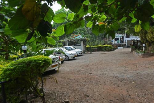 Bed & Breakfast Spice Jungle Holiday Resort