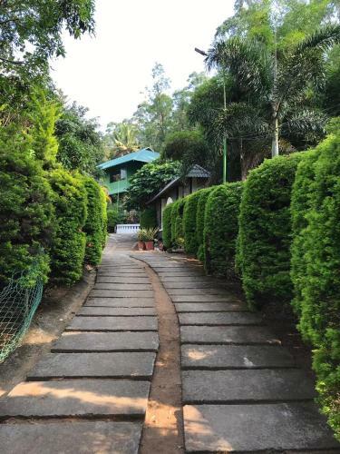 Hotel Wyte Mist Mountain Club