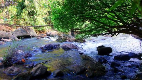 Fab Valley Homestay