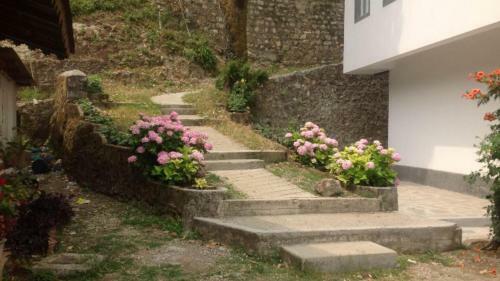 Beechwood Holiday Apartments