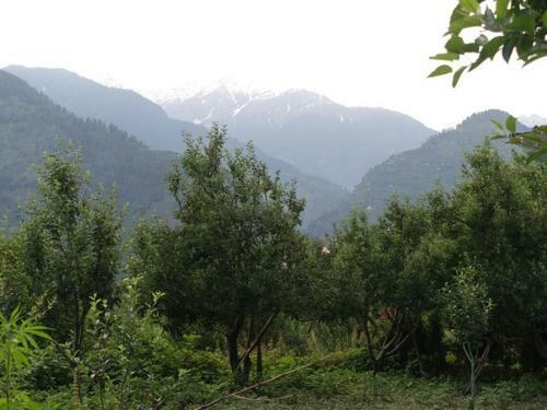 Bed & Breakfast Malis Apple Lodge