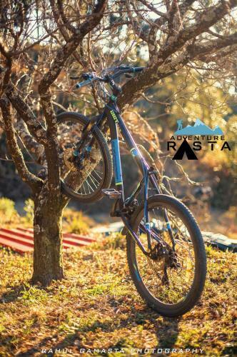 Adventure Rasta Camp