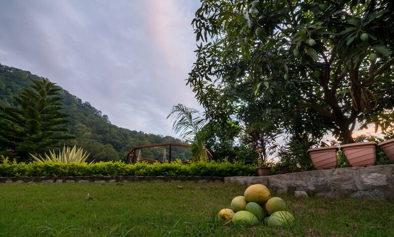 Hotel Kunkhet Valley Resort