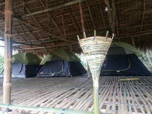 La Lolat Eco Camp