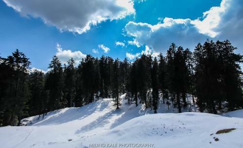 Hotel Tethys Ski Resort