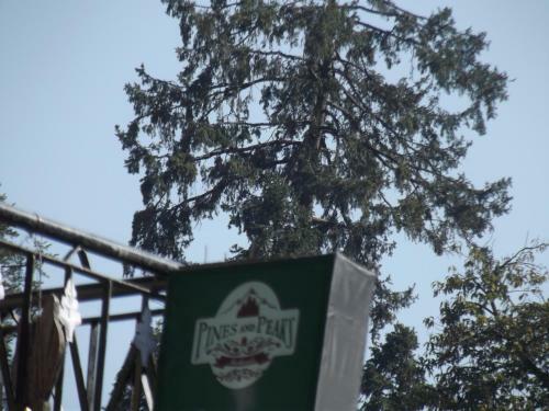 Pines And Peaks Hotel