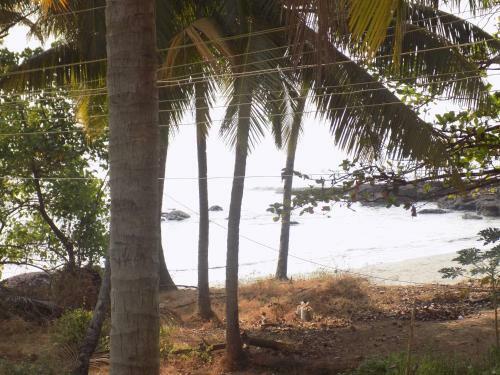 Luxury 3bhk Beach Front Villa