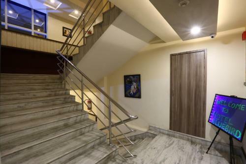 Hotel Blue Bird