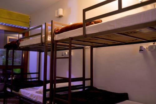 Hide-in Hostel Delhi