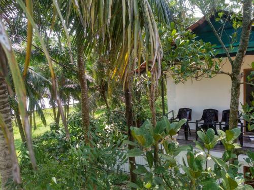 Blue Birds Homestay