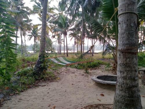 Blue Birds Homestay