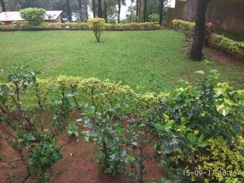 Bed & Breakfast Trinity House