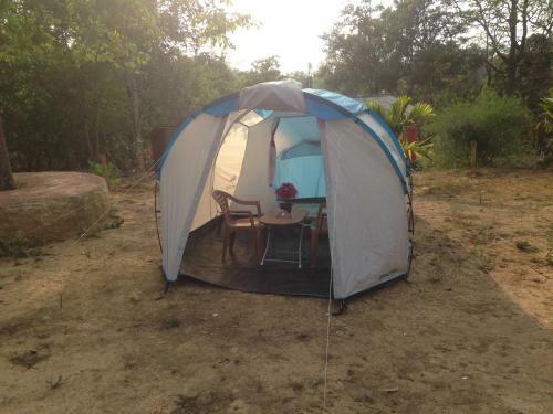 Dandeli - Jungle Nest